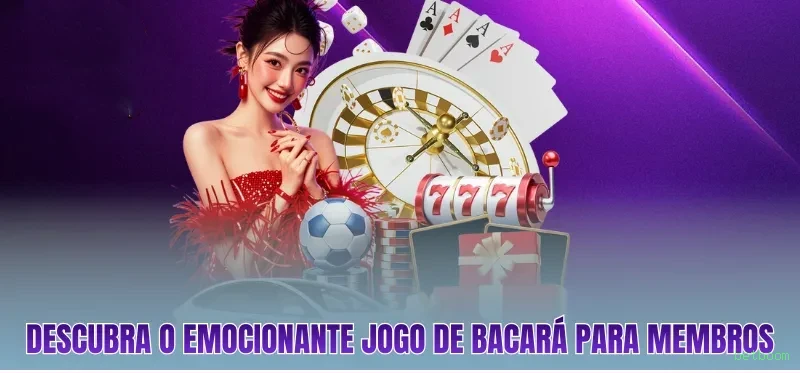 Suporte VIP betboom - atendimento prioritário